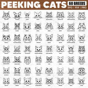 Line Art 62 Cat Breeds peeking Svg Dxf Png Pdf Bundle for Cricut Crafts, Cute Minimal Pet Designs for Shirts, Mugs, Signs, and Stickers