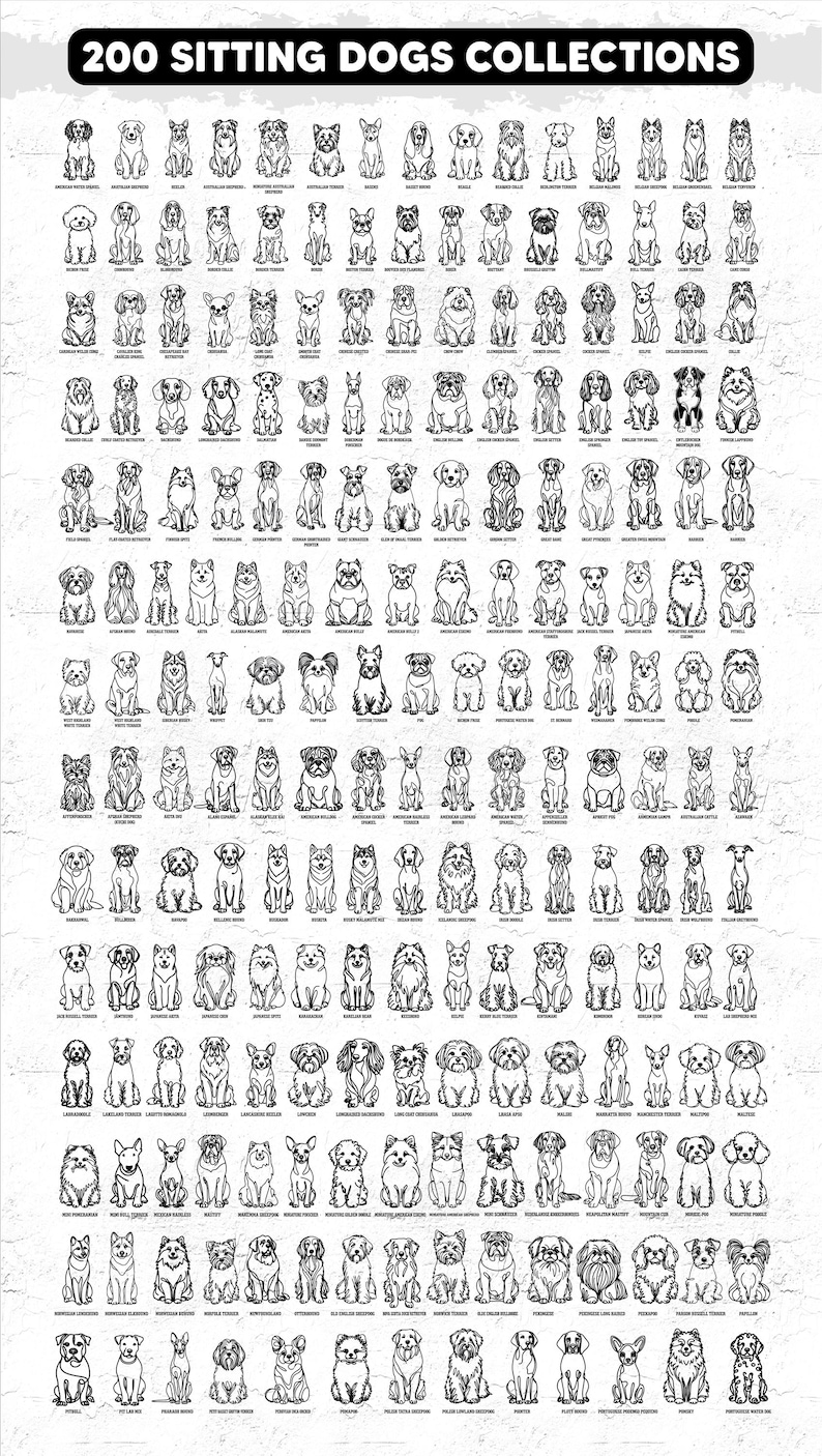 200 Breeds Sitting Dog Line Art SVG Bundle, Dog Cricut Files, Puppy Outline Clipart, Pet Lover Digital Cut File, Laser Cut Dog Sketch Art image 2