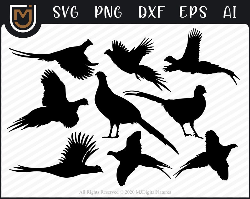 Download Bundle Pheasant Hunting SVG Pheasant Clipart Bird Hunting ...