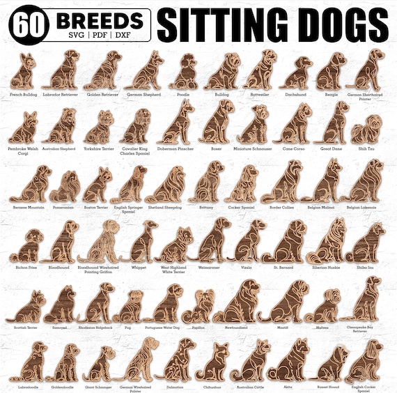 Line Art Dog Bundle SVG 60 Breeds Sitting Dogs - Dog Ornaments, Dog Laser Cut, Glowforge Svg, Multi Layer Dog, Cnc, Cut Files, Dxf, Pdf