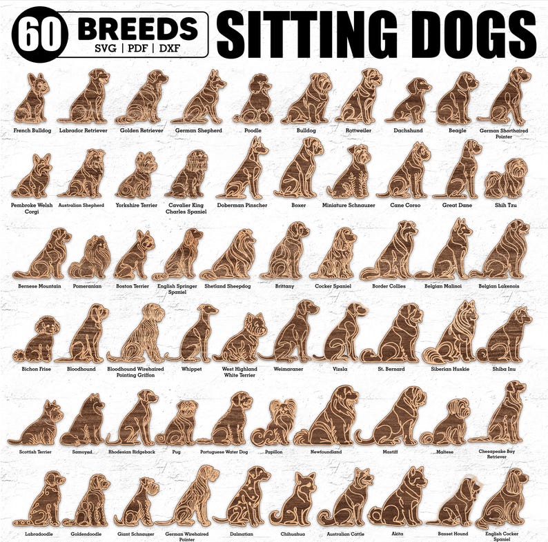 May include: A chart of 60 different dog breeds, each illustrated as a sitting dog. The dogs are outlined in brown and are set against a woodgrain background. The chart is titled "60 Breeds Sitting Dogs" and includes the breed name below each dog.