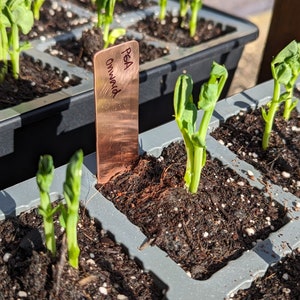 Copper Trowel Electroculture No Dig Soil Friendly Electro Culture image 9