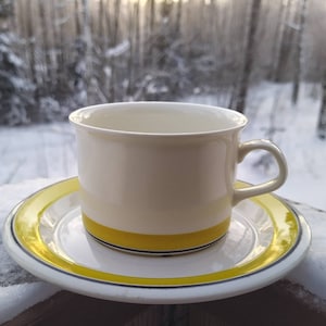 Arabia  Faenza  teacup and saucer Esteri Tomula Arabia Finland