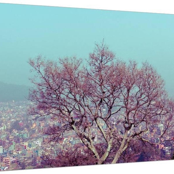 Kathmandu Tree Photography Print, Landscape Artwork, Natural Wall Art Decor, Nepali Artwork, Nature Bedroom Decor