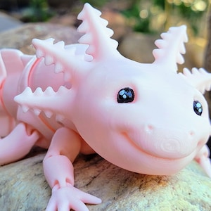 Articulated Axolotl Fidget Toy, Desk Fidget Toy, Sensory Toys Adult, ADHD Fidget, 3D Printed Axolotl Made to Order