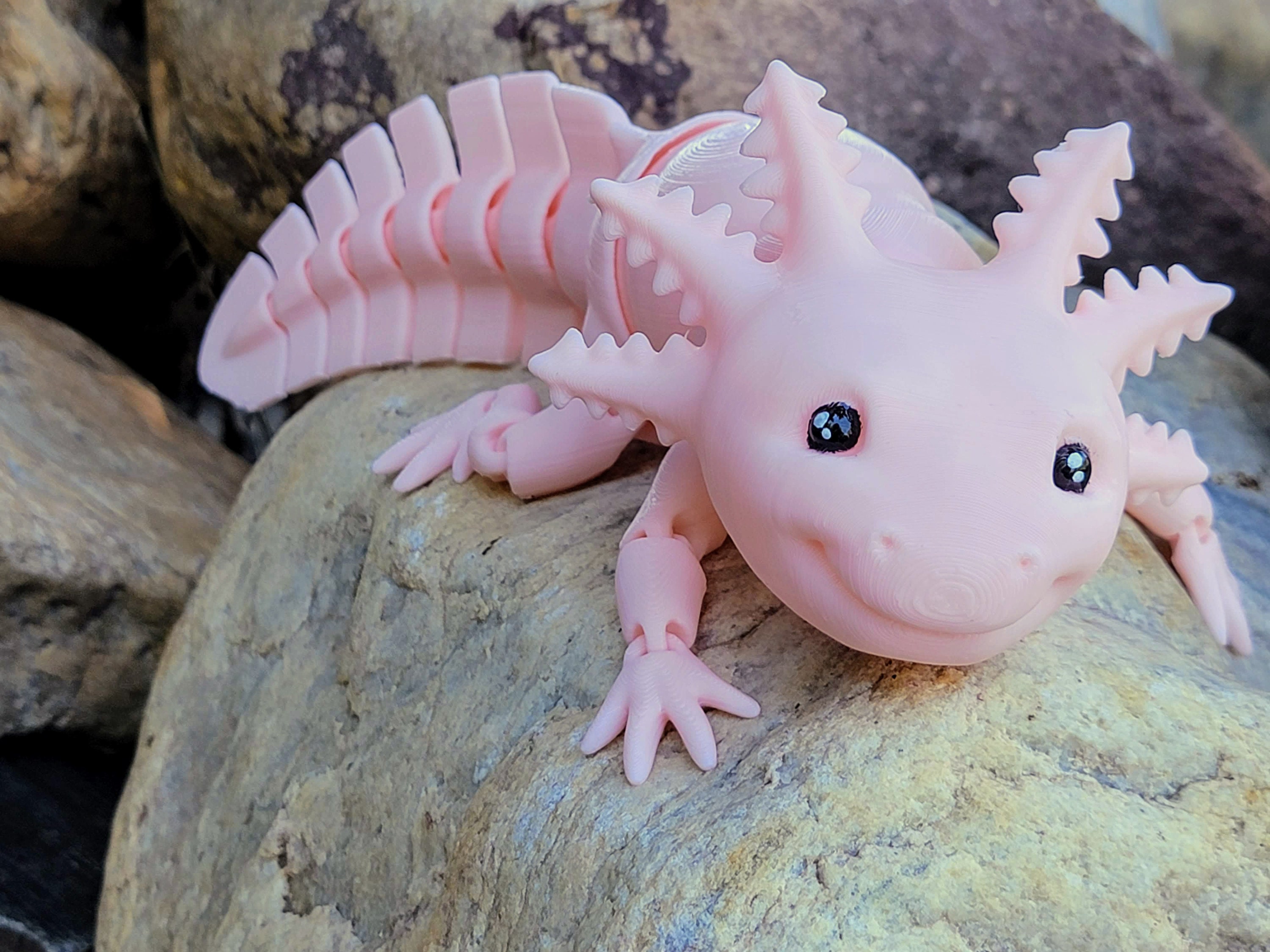 Articulated Axolotl Fidget Toy Desk Fidget Toy Sensory Toys Etsy Hong