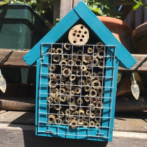 May include: A blue wooden insect house with a wire mesh front and a round wooden nesting area on the top. The house is filled with bamboo tubes for insects to nest in.