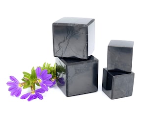 Shungite Cube Set: EMF Shield & Energy Balancing Crystals