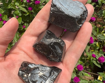 Raw Elite Shungite Chunks – Authentic Karelian Noble Shungite, EMF Blocking Stones, Water Purification Crystal, Wellness Gift