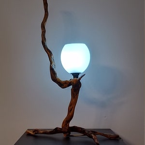 Könnte beinhalten: Eine Tischlampe aus Treibholz mit einem weißen, mattierten Glaskugelschirm.