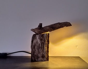 Little Devil - It, lamp by AClast. Drift,wood,art,unique,decorative,hand,made,crafted,free,standing,bed,side,table,glass,light,lamp,shade.