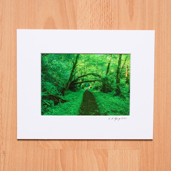 Vibrant Forest with Trail, Summer, Spring, Nature, Forest, Landscape Photography, Fine Art Professional Print - 4x6, 5x7, 8x10, 11x14