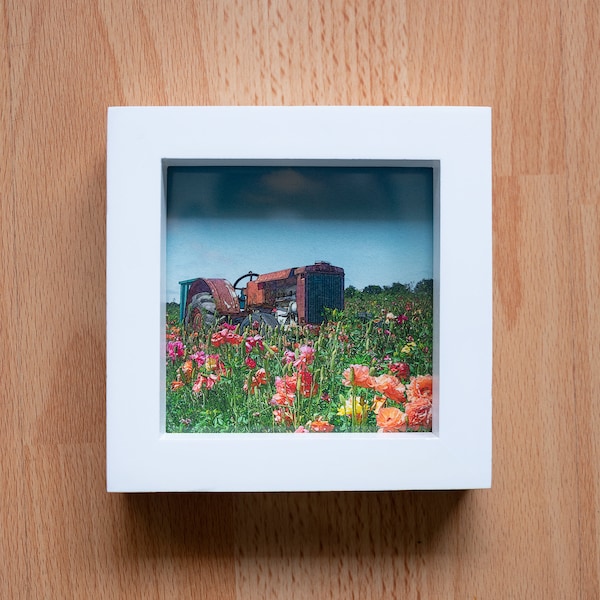 Graphic, Old Tractor in Flowers, Landscape, Fine Art Photography, Fine Art Professional Print with Frame - 4x4, 5x5, 6x6, 8x8, 12x12 Square