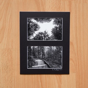 May include: A black and white photo of a forest path with a canopy of trees overhead. The photo is divided into two sections, with the top section showing the trees from below and the bottom section showing the path from above. The photo is signed "E.L. Young 2021".