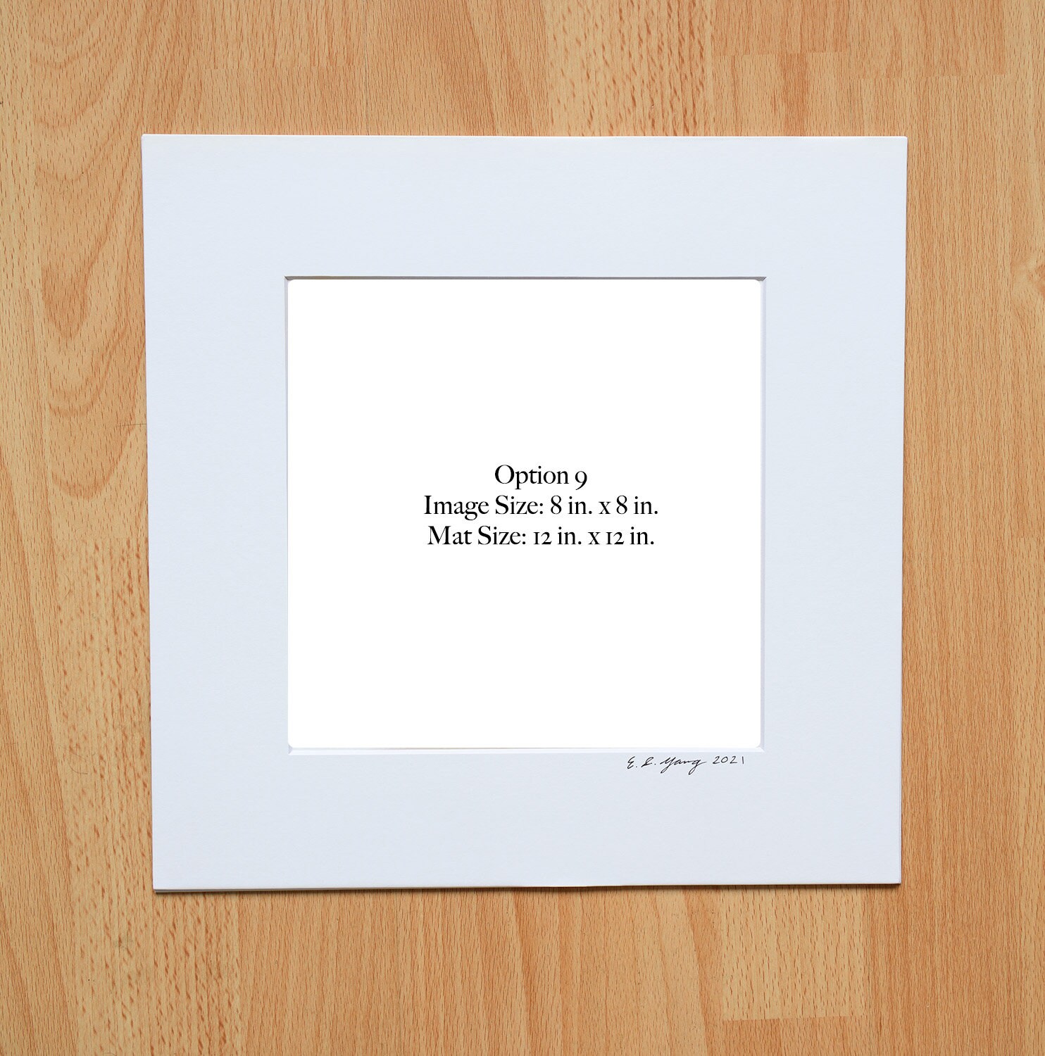 Black and White, Spring, Summer, Macro Flower, Fine Art Photography ...