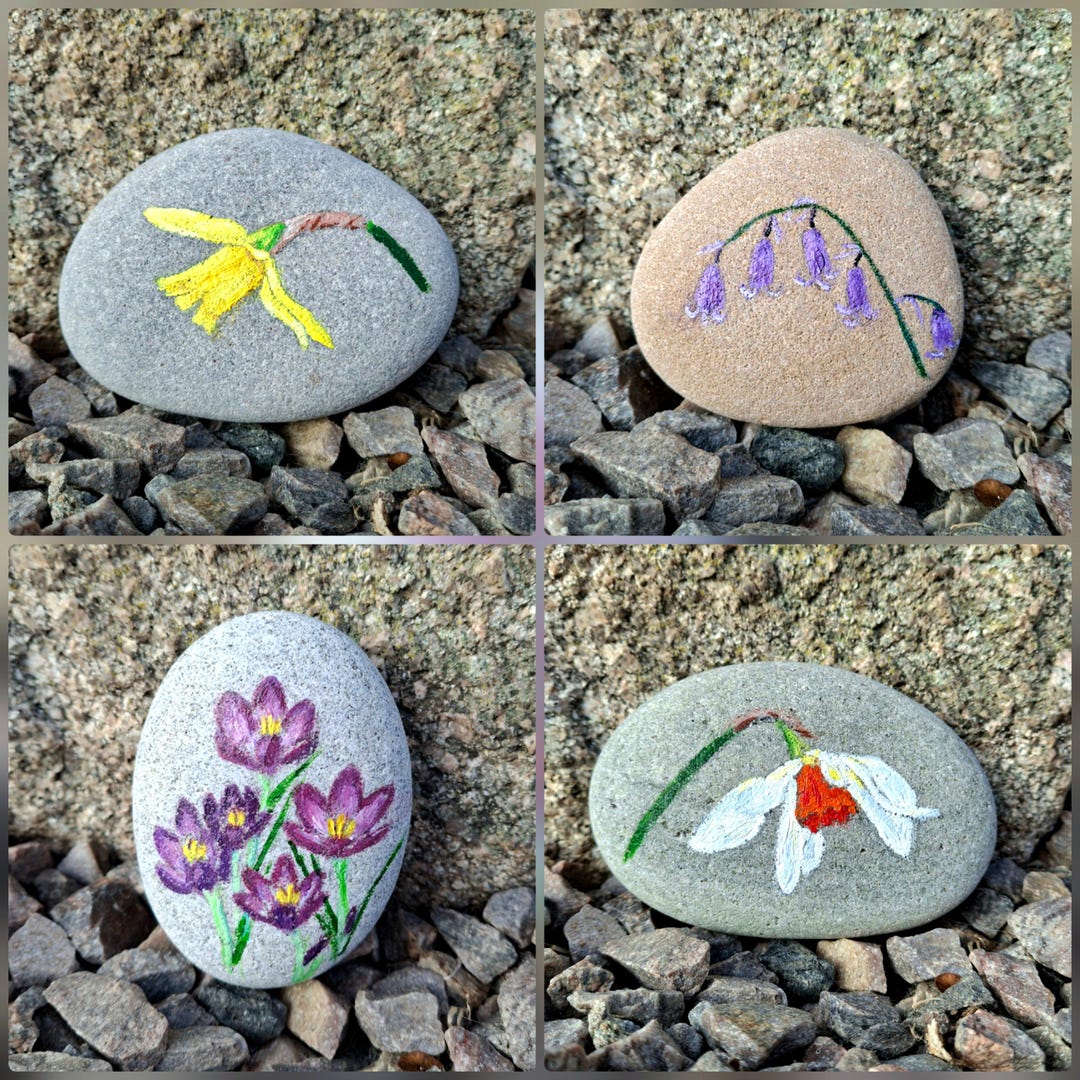 Spring Decorated Rocks Painted Stones, Flower Painted Stones, Painted Rocks, Spring Painted ...