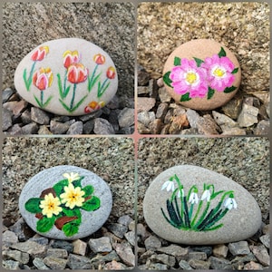 May include: Four painted rocks with floral designs. One rock features red and yellow tulips, another has pink flowers, a third displays yellow primroses, and the last shows white snowdrops. The rocks are on a bed of small stones.