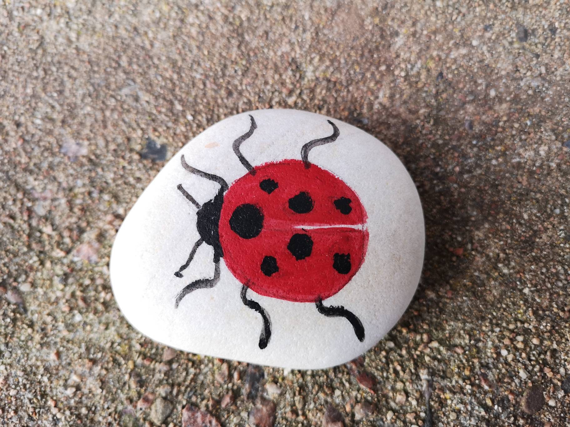 Painted Stones, Painted Rocks, Painted Insects, Painted Insect Stones ...