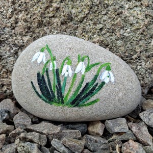 May include: A hand-painted, oval-shaped stone featuring a floral design. The artwork depicts white snowdrop flowers with green stems and leaves. The stone is a light gray color and rests on a bed of small rocks.