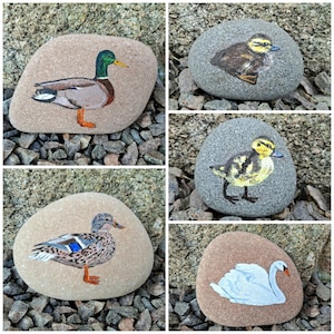 Painted Stones, Painted Bird Stones, Painted Rocks, Painted Water Bird Stones, Painted Bird Rocks, Painted Ducks, Painted Swan
