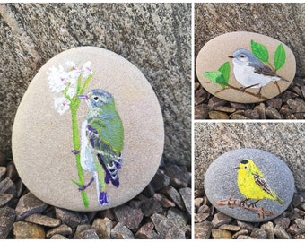 Painted Stones, Painted Bird Stones, Painted Rocks, Painted Canadian Bird Stones, Painted Bird Rocks