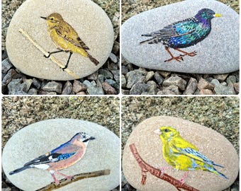 Geschilderde stenen, geverfde vogelstenen, geverfde stenen, geverfde stenen tuinvogel, geverfde vogelstenen, geverfde vogels