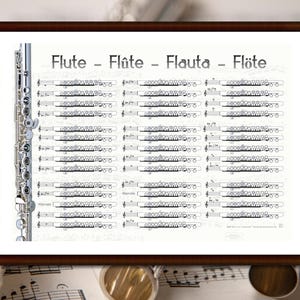 Può includere: Una stampa incorniciata con un flauto d'argento e un grafico che mostra le posizioni delle dita per suonare diverse note. Il titolo del grafico è "Flute - Flûte - Flauta - Flöte".