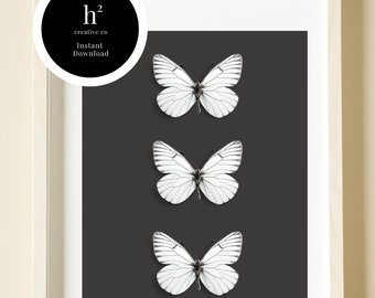 May include: Three white butterflies with black veins are arranged vertically on a dark gray background. The butterflies are framed in a white frame with a white mat.