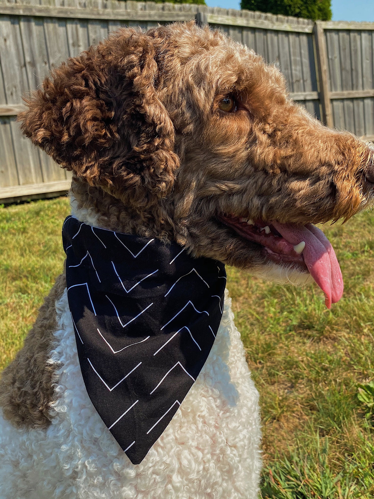 Matching Reversible Dog Bandana and Scrunchie Etsy
