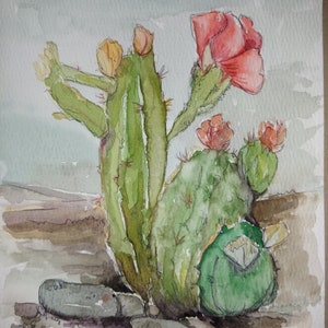 Acquerello. Cactus con fiore 15 x 22 cm. Immagine per gli amanti del giardino. Originale firmato su carta di alta qualità da 300 gr. Carta. Senza cornice nella posta ordinaria.