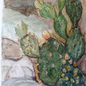 Aquarell. Kakteen. Wundervolle orange  Blüten an einem Kaktus. 30x40cm, 300gr. Aquarellpapier Bild für Kakteensammler. Art.Nr.2022025