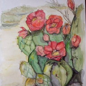 Acquerello. Fiori e cactus. Meravigliosi fiori rossi su un cactus.30 x 40 cm, 300gr. Carta