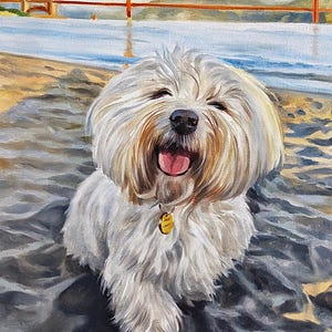 Custom pet portrait, dog oil painting from photo, Original oil painting on canvas, dog remembrance gift, personalised gift, art commission