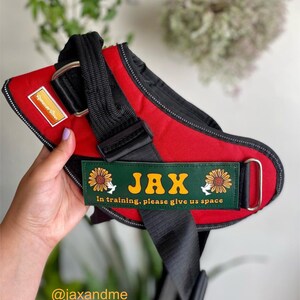 May include: Red dog harness with black straps and a green patch that says "JAX In training, please give us space".