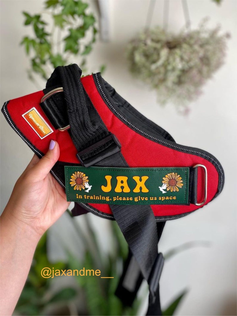 May include: Red dog harness with black straps and a green patch that says "JAX In training, please give us space".