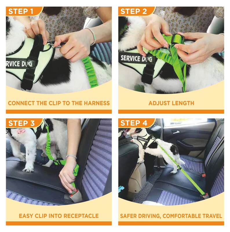 May include: A four-step guide on how to use a retractable dog leash for safe car travel. The steps include connecting the leash to the harness, adjusting the length, clipping the leash into the car's seatbelt buckle, and ensuring a safe and comfortable ride for the dog.
