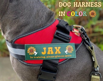 Personalized Dog Harness, No Pull No Shock Adjustable Pet Vest with Custom Tags in Color, Custom Reflective Dog Vest, Gifts For Dog Lovers