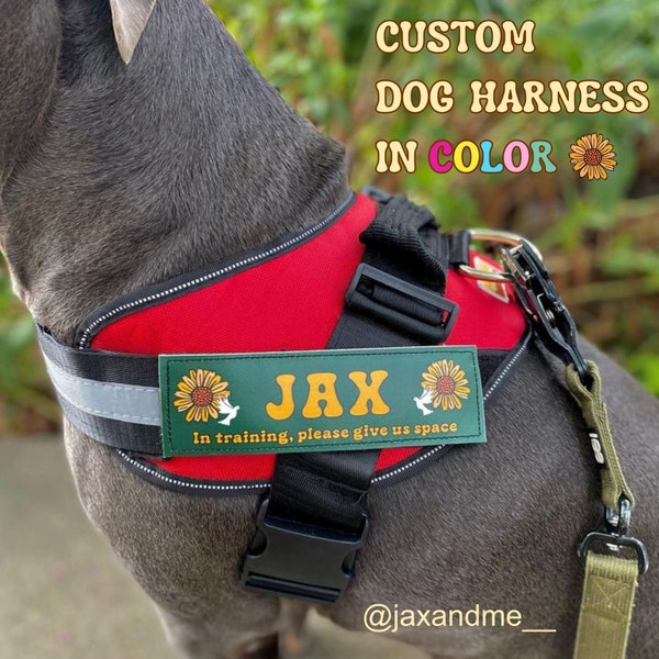 Personalized Dog Harness, No Pull No Shock Adjustable Pet Vest with Custom Tags in Color, Custom Reflective Dog Vest, Gifts For Dog Lovers