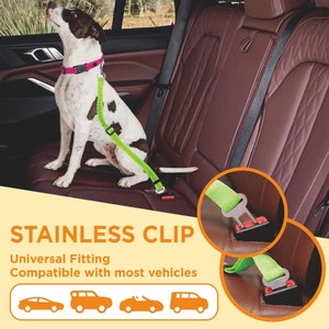 May include: A green dog leash with a stainless steel clip attaches to a dog's collar and to a car's seatbelt. The text "STAINLESS CLIP" is in large letters. The text "Universal Fitting" and "Compatible with most vehicles" is below the large text.  There are four car icons below the text.  The leash is shown attached to a dog in the back seat of a car.