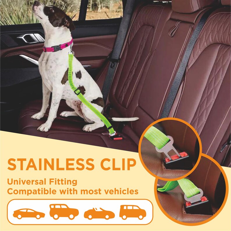 May include: A green dog leash with a stainless steel clip attaches to a dog's collar and to a car's seatbelt. The text "STAINLESS CLIP" is in large letters. The text "Universal Fitting" and "Compatible with most vehicles" is below the large text.  There are four car icons below the text.  The leash is shown attached to a dog in the back seat of a car.