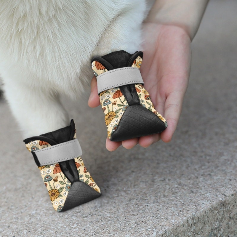 Fancy dog shoes online