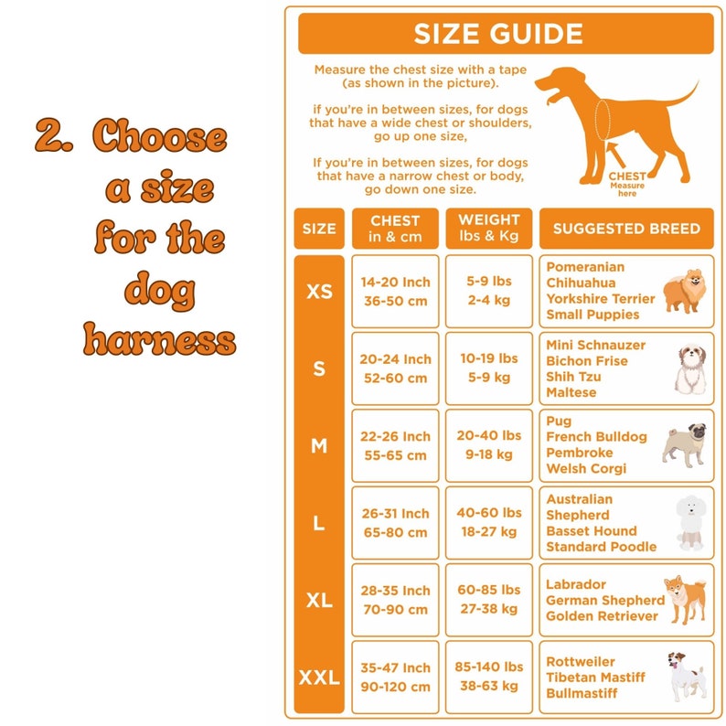 May include: A size guide for dog harnesses with a chart showing different sizes in inches and centimeters, corresponding weight in pounds and kilograms, and suggested dog breeds for each size.