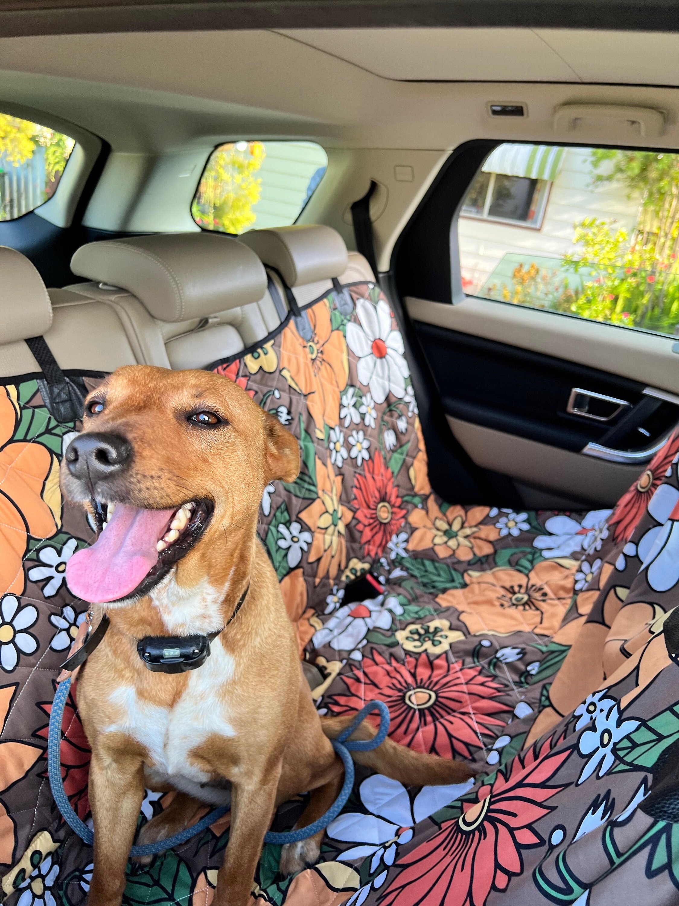 Housse de siège de voiture pour chien – Les Canins Branchés