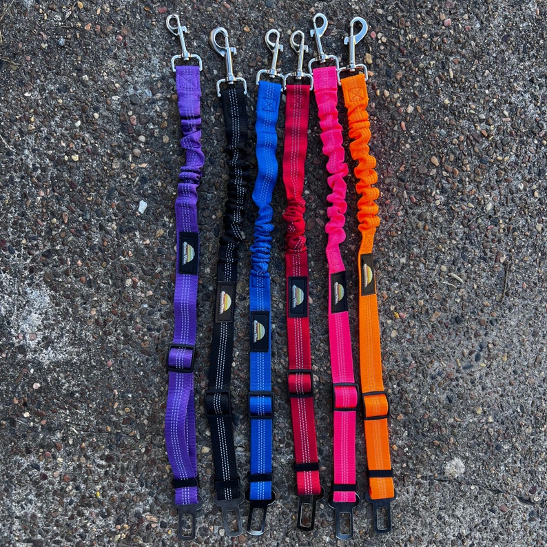 May include: Six colorful retractable dog leashes with a spring-loaded mechanism and a metal clip. The leashes are purple, black, blue, red, pink, and orange.