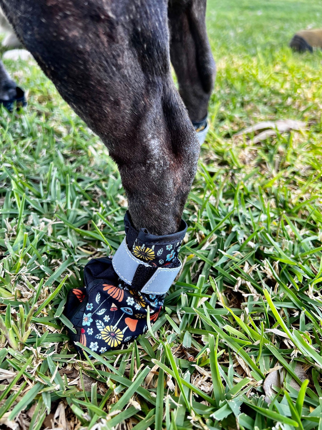 Dog Shoes for Hot Pavement, Soft Dog Shoes, Dog Shoes for Large Dogs