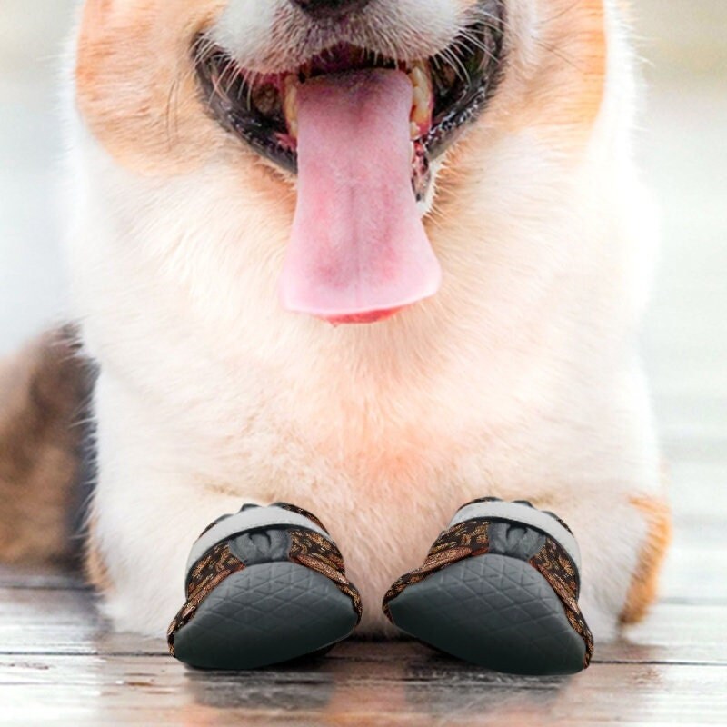 Dog slip socks hot sale