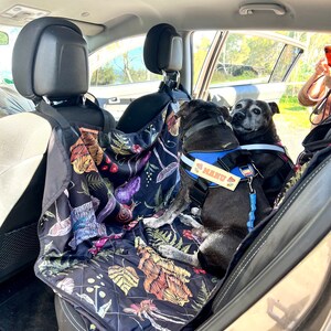 May include: Two black dogs are sitting in the back seat of a car. They are wearing harnesses and are on a patterned seat cover. The seat cover has a floral design with a black background. The dog on the right has a name tag that says "MANO".