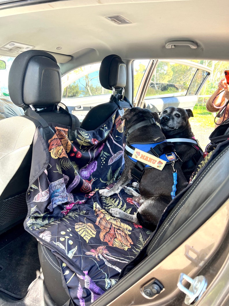 May include: Two black dogs are sitting in the back seat of a car. They are wearing harnesses and are on a patterned seat cover. The seat cover has a floral design with a black background. The dog on the right has a name tag that says "MANO".