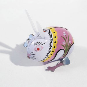 Jumping Rabbit