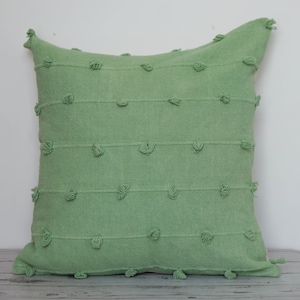 Hand Loom Woven Cotton Pillow Cover: Mint Green Decorative Cushion